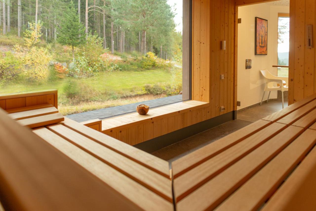 Hotel Schoene Aussicht Hornberg Kültér fotó