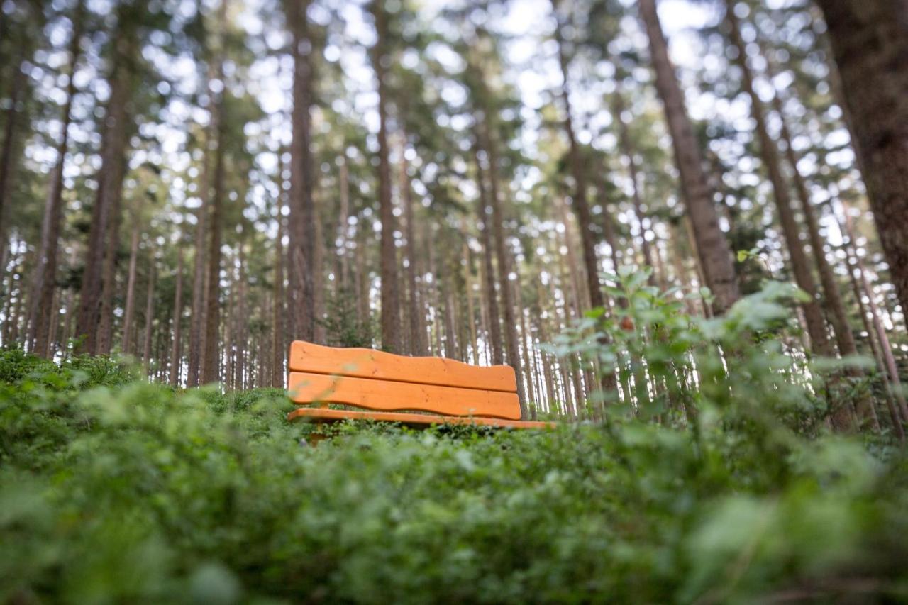 Hotel Schoene Aussicht Hornberg Kültér fotó